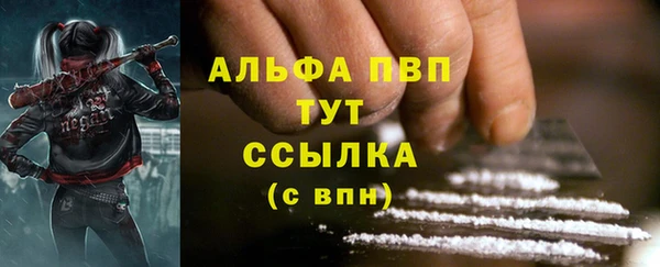 сатива Ладушкин