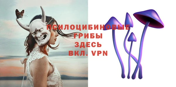 сатива Ладушкин
