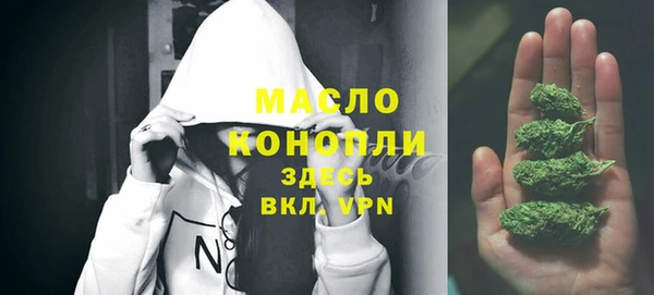 молекула духа Лабытнанги
