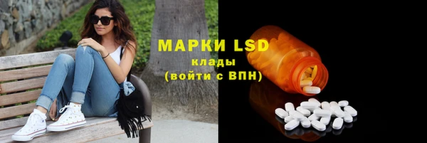 молекула духа Лабытнанги