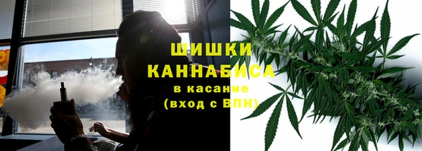 сатива Ладушкин