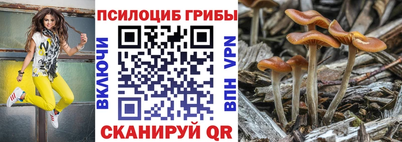 Галлюциногенные грибы Cubensis  что такое наркотик  Томилино 